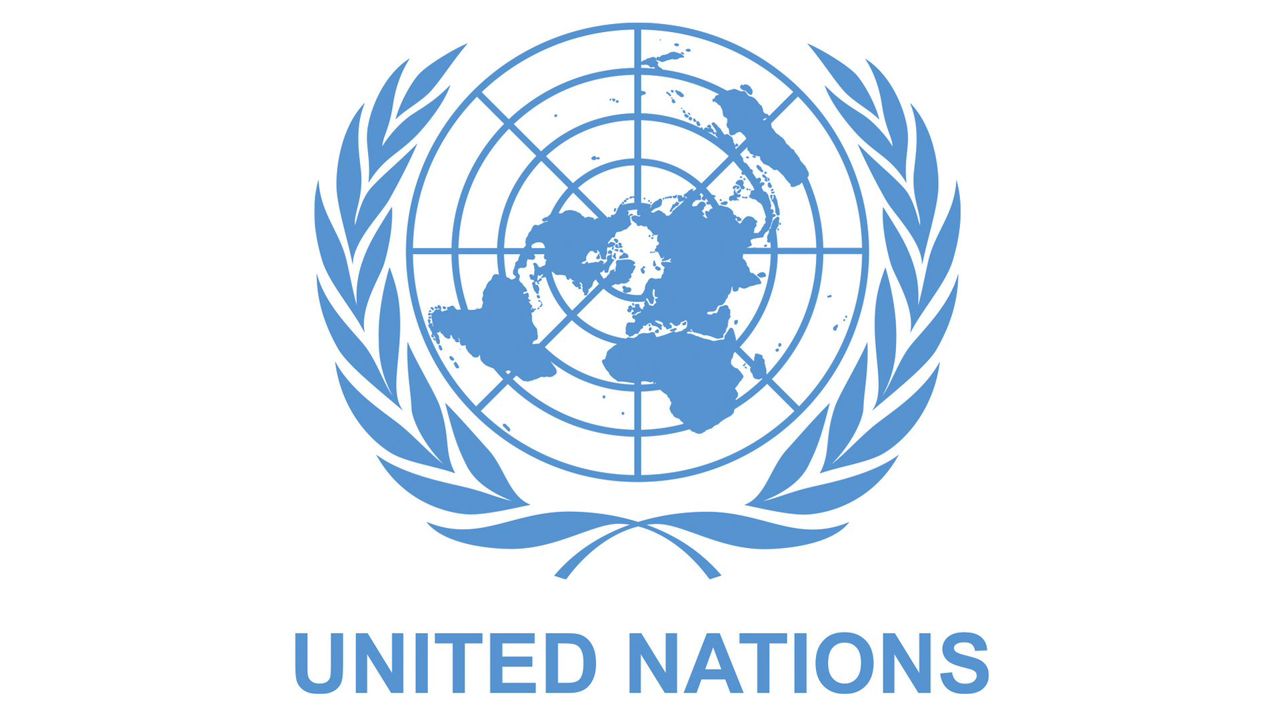 United Nations — institutional-context mark